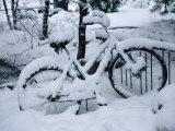 A Snow-Covered Bike Retired for the Winter Photographic Print by Marc Moritsch