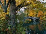 Autumnal View of a Stone Bridge Photographie par Robert Madden