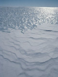 A Bare Ice Glacier and Wind Carved Sastrugi Snow on Antarctic Icecap Photographic Print by Gordon Wiltsie
