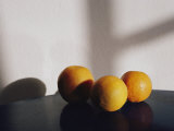 Still life of three oranges on a table 写真プリント - トッド・トッド・ジプステイン