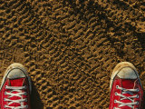 Red Sneakers on Soil Patterned with Tire Tracks Photographie par Joel Sartore
