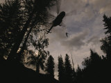 As Many as Twenty Firefighters Can Rappel to a Fire from a Turbo-Powered Helicopter Photographic Print by Mark Thiessen