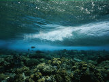 Underwater View of a Wave Breaking over a Reef Photographic Print by Nick Caloyianis