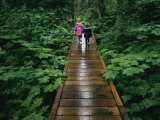 Two Children Walk Along a Wooden Walkway in the Rain Photographic Print by Karen Kasmauski