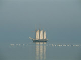 Three-Masted Schooner Shown with Swans in the Early Morning Light Photographic Print by Sisse Brimberg