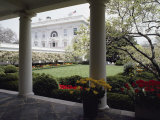 Vue du Jardin de la Rose depuis la Maison blanche Photographie par Joseph H. Bailey