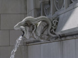 A Neo-Gothic Limestone Gargoyle Spewing Water from its Mouth Fotografisk trykk av Joseph H. Bailey
