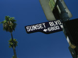 Looking up at Sunset Boulevard Sign with Palm Tree in Background Photographic Print by Todd Gipstein