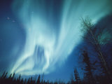 A Brilliant Display of Aurorae Photographic Print by Paul Nicklen