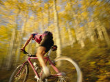 A Mountain Biker in Autumn Fotografisk trykk av Dugald Bremner