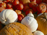 A Pile of Pumpkins of Different Colors Photographic Print by Marc Moritsch
