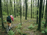 A Bicyclist Rides Through the Woods Photographic Print by Skip Brown