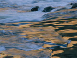 Morning Light Shines over Badger Rapids in Grand Canyon National Park Fotografisk trykk av Dugald Bremner