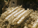 Eggs Packed in Straw for Travel and Inspection Photographic Print by Maynard Owen Williams