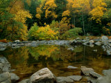 Trees Reflecting on the Surface of a Small Pond Photographic Print by Medford Taylor