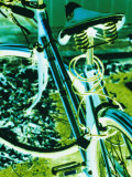Bright Blue and Green Colors Create an Electrifying View of a Bicycle Lámina fotográfica por Stacy Gold Bright Blue and Green Colors Create an Electrifying View of a Bicycle Lámina fotográfica por Stacy Gold