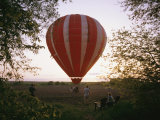 A Hot Air Balloon Lands in a Farm Pasture Near Walton, Nebraska Photographic Print by Joel Sartore