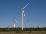 Wind Turbines Generating Electricity Photographic Print by Taylor S. Kennedy