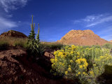 Desert Landscape with Rock Formations and Wildflowers Photographie par Raul Touzon