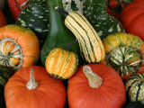 Autumn Colors Abound in This Stack of Pumpkins and Squash Photographic Print by Stephen St. John