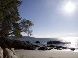 A View of a Beach in British Columbia Photographic Print by Taylor S. Kennedy