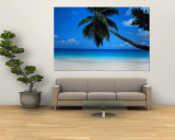 Seychelles Reproduction murale géante