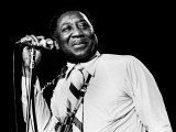 Muddy Waters Limited Edition on Canvas by Richard E. Aaron