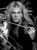 David Lee Roth Limited Edition on Canvas by Richard E. Aaron