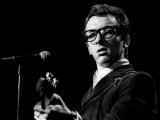 Elvis Costello Limited Edition on Canvas by Richard E. Aaron