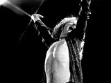 Robert Plant Begränsad utgåva på kanvas av Richard E. Aaron