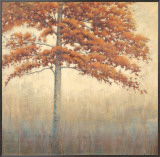 Cinnabar Framed Canvas Print by James Wiens Cinnabar Framed Canvas Print by James Wiens