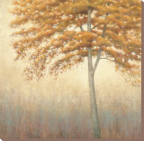 Amber Stretched Canvas Print by James Wiens