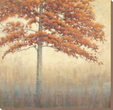 Cinnabar Stretched Canvas Print by James Wiens
