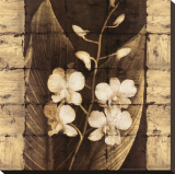 Orchids in Bloom I Stretched Canvas Print by John Seba