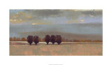 Before the Storm II Limited Edition by Norman Wyatt Jr.
