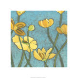 Eternal Sunshine I Limited Edition by Chariklia Zarris