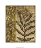 Plant Exotica I Limited Edition by Nancy Slocum