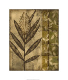 Plant Exotica II Limited Edition by Nancy Slocum