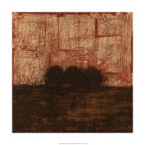 Weathered Landscape I Edición limitada por Norman Wyatt Jr. Weathered Landscape I Edición limitada por Norman Wyatt Jr.