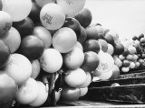 Balloons Lying on Ground Prior to Release Premium Photographic Print by Ralph Crane