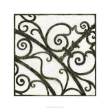 Iron Gate II Limited Edition by Megan Meagher