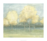 Solace II Limited Edition by Megan Meagher
