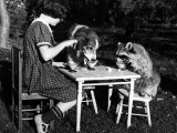 Claire Shorrock Giving Ice Cream Party with Pet Dog and Raccoon Photographic Print