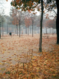 Lone Chair Sitting Amongst Fallen Leaves in Tuileries Gardens Premium Photographic Print by Alfred Eisenstaedt