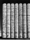 Grain Elevator Premium Photographic Print by Andreas Feininger