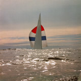 The Sailboat Nefertiti Competing in the America's Cup Trials Photographic Print by George Silk