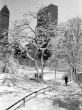 Central Park After a Snowstorm Photographic Print by Alfred Eisenstaedt