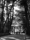 Entrance to the Issai Shinto Shrine, Japan Premium Photographic Print by Alfred Eisenstaedt