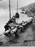2 Rows of Chinese Trackers Plodding Along Bank of Yangtze River Towing a Junk Slowly Up River Reproduction photographique sur papier de qualité par Dmitri Kessel