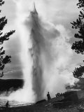 Geyser Erupting in Yellowstone Park Photographic Print by Alfred Eisenstaedt